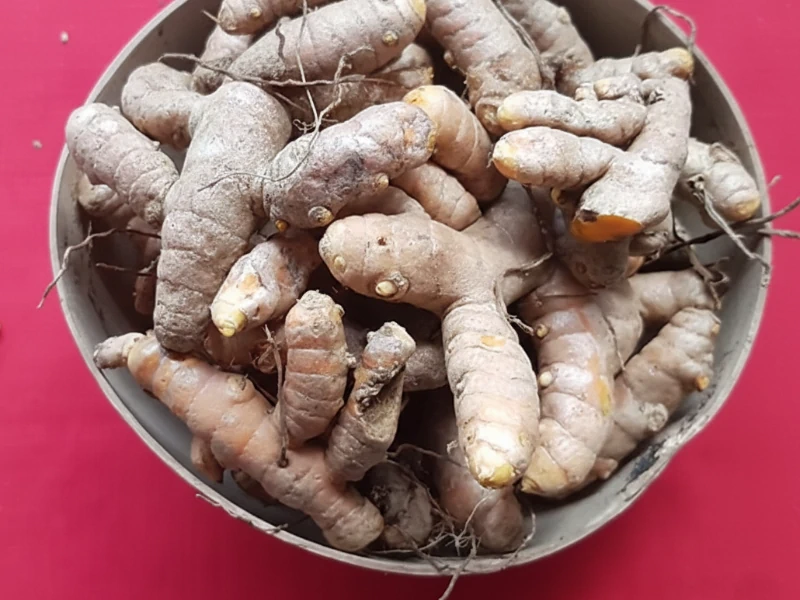 Curcuma root