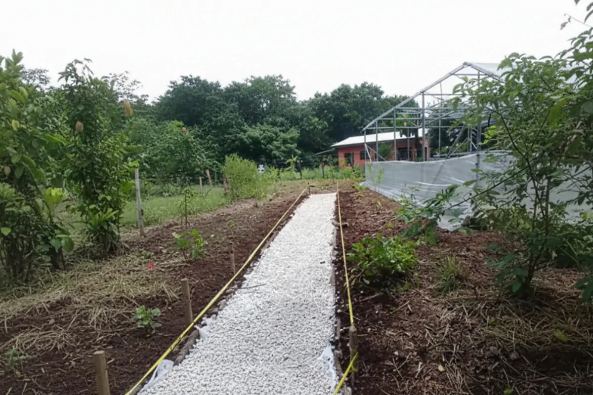 Bosque azul camino blanco casa