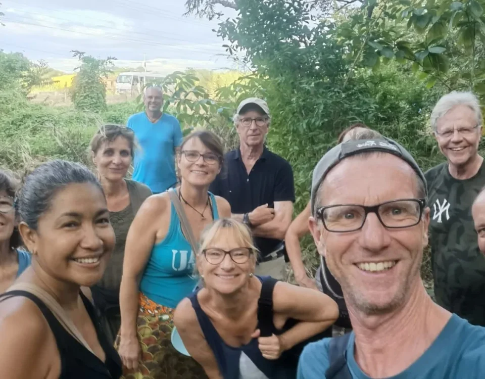 Colores identidad ecodesi tropica verde portada