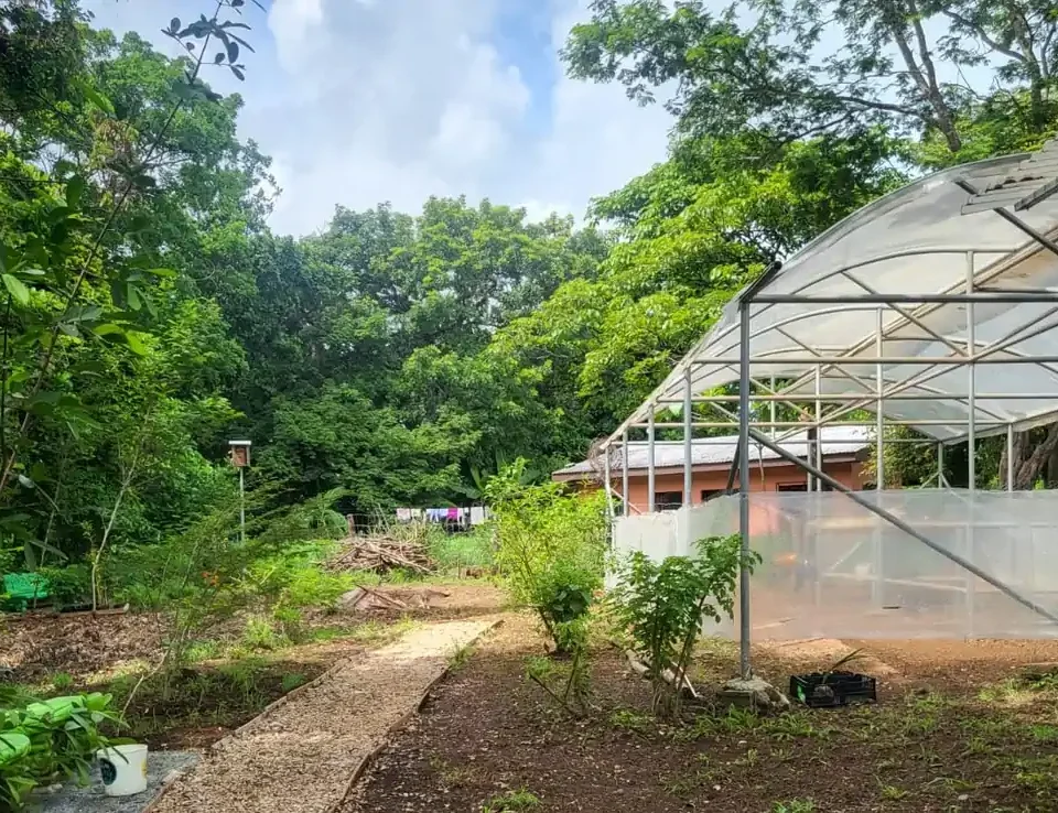 Fotografia paisaje vegetacion